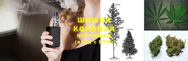тгк Новозыбков