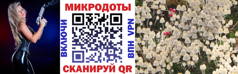 где можно купить наркотик  это наркотические препараты  Галлюциногенные грибы прущие грибы  Красавино 